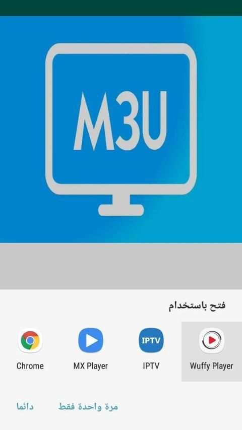 M3u List screenshot 1