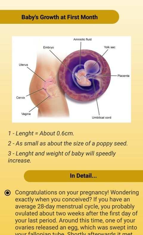 Maternity Ward स्क्रीनशॉट 6