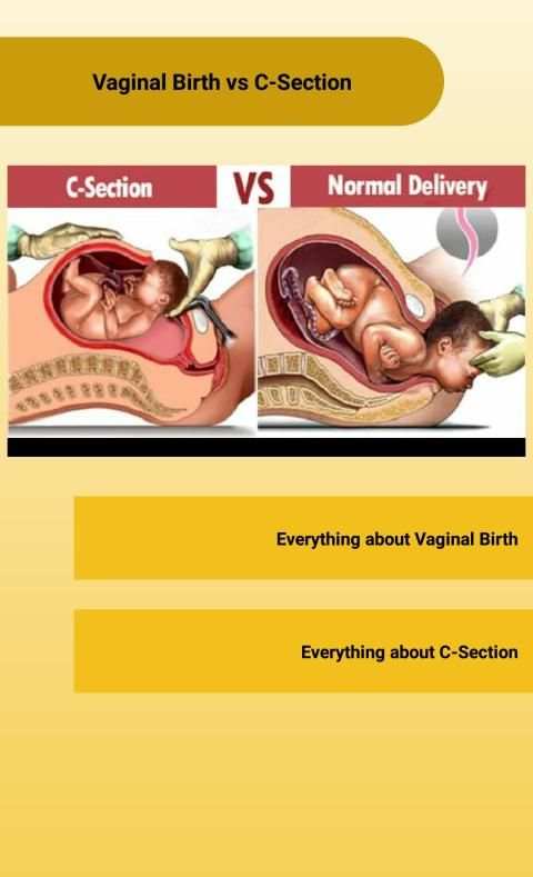 Maternity Ward screenshot 5