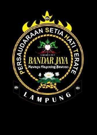 PSHT Lampung Wallpaper screenshot 1