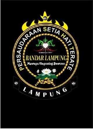 PSHT Lampung Wallpaper screenshot 2