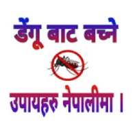 Dengue Fever Prevention