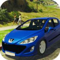 308 Racing & Driving Simulator