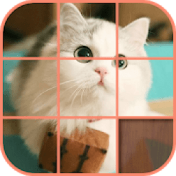 ikon Cute Kittens Puzzle