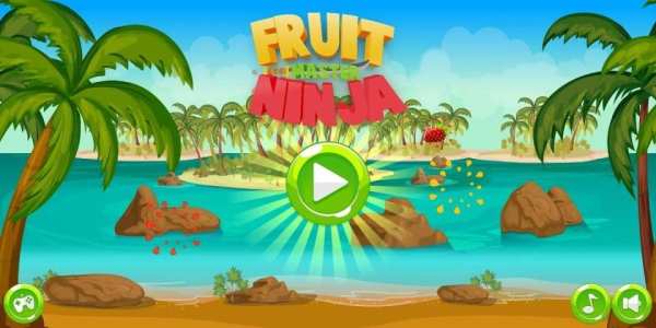 Fruit Master Ninja screenshot 16