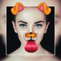 Animated Photo Editor