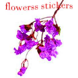 Flowers stickers for whatsapp 2020