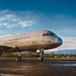 Commander Airplane Landings:Real Fight Experience icon