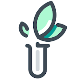 Cheap Website Design and Development आइकन