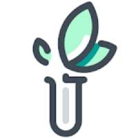 Cheap Website Design and Development