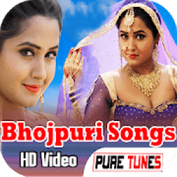 Bhojpuri Video Songs HD أيقونة