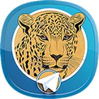 چیتاگرام - موبوتل ضد فیلتر
‎