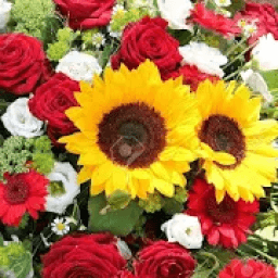 ikon Flower Wallpaper 4K, Floral Background: Flowery