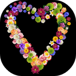 ikon Live flowers drawing &amp; Sketch