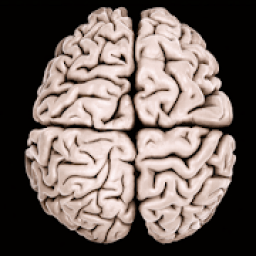 ikon Positive Energy - Gamma Waves