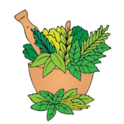 ikon Libro de Remedios caseros naturales