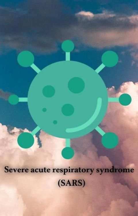 SARS Info screenshot 7