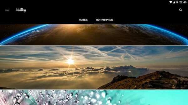 WallBay-бесплатные HD обои, фоны, обложки и фото screenshot 4