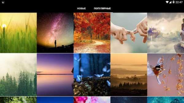 WallBay-бесплатные HD обои, фоны, обложки и фото screenshot 2