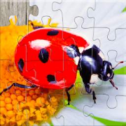 Insect Jigsaw Puzzles Game - For Kids & Adults *