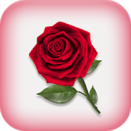 Gallery आइकन