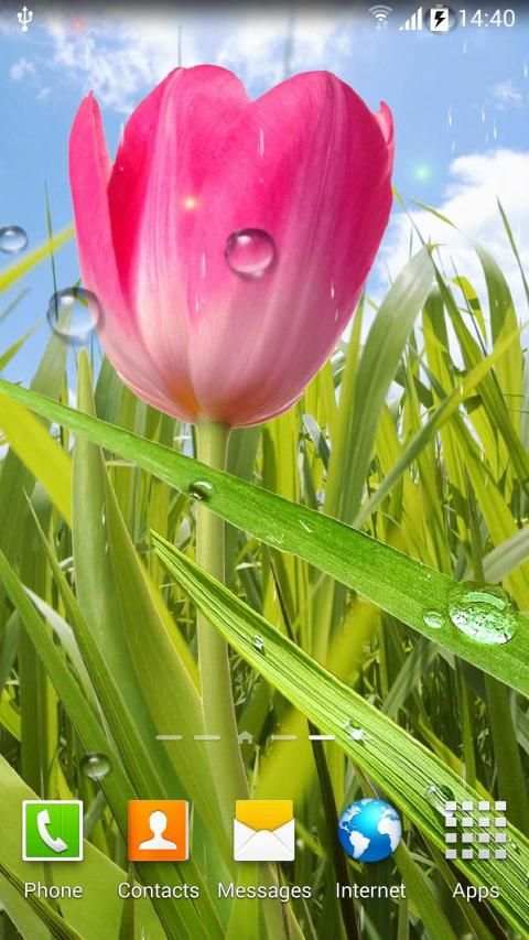 Spring Live Wallpaper screenshot 15