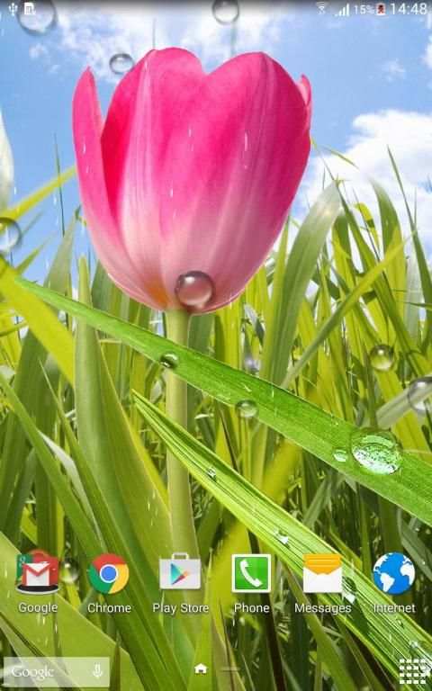 Spring Live Wallpaper screenshot 2