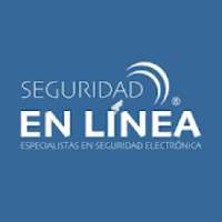 Seguridad en Línea