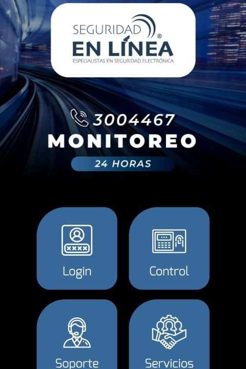 Seguridad en Línea screenshot 4