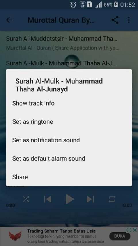 Murottal Offline Muhammad Taha Al-Junayd screenshot 2