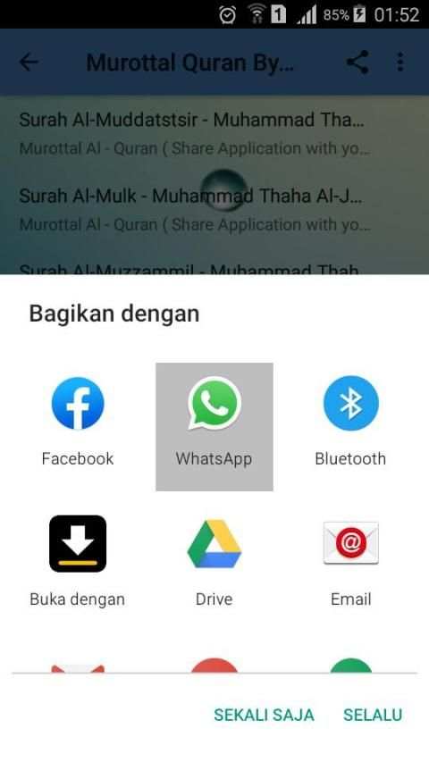 Murottal Offline Muhammad Taha Al-Junayd screenshot 1