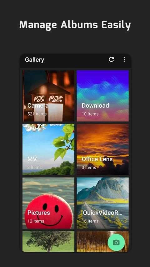 Picture Gallery (No Ads) screenshot 4