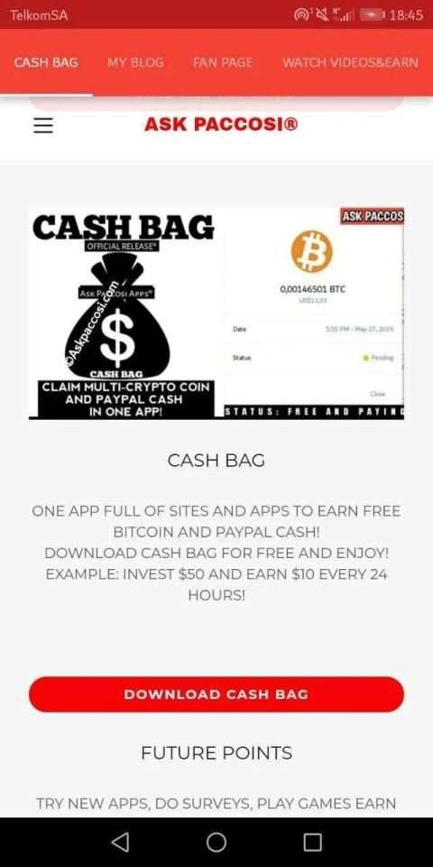 Cash Bag screenshot 2