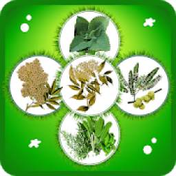 Medicinal Plants and their Benefits