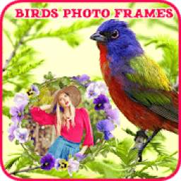 Birds Photo Frames