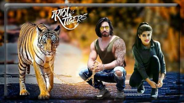 Lion Photo Editor स्क्रीनशॉट 2
