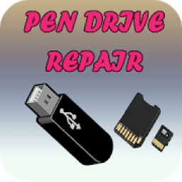 ikon Damage Memory &amp; Pendrive Repair