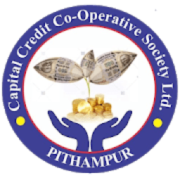 ikon Capital Credit Customer