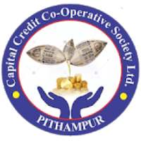 Capital Credit Customer