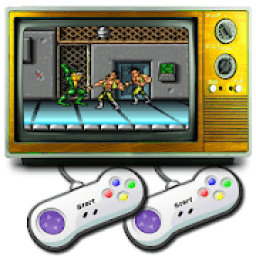 Two Dragons &amp; Fight Toads 1993 Game icon