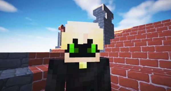Mod Ladybug For MCPE screenshot 2