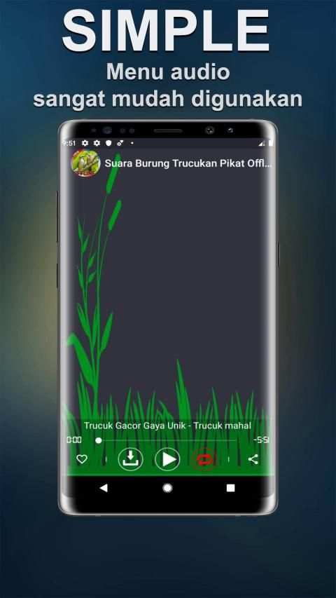 Suara Burung Trucukan Pikat Offline screenshot 5