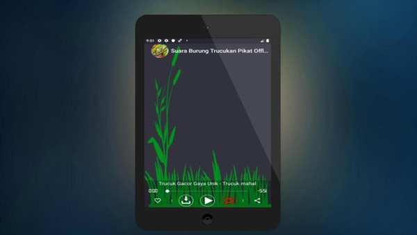 Suara Burung Trucukan Pikat Offline screenshot 1