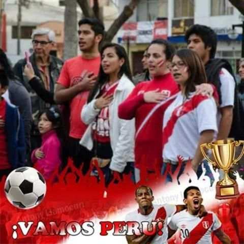 Selección Perú foto perfil screenshot 1