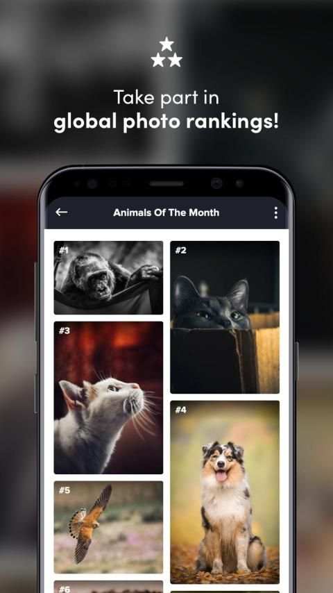 Shuttout - More Than Photo Contests screenshot 3