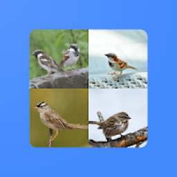 Ap app 4 pics 1 word आइकन