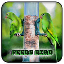 Feeds Bird आइकन