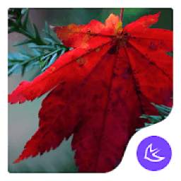 Maple leaf-APUS Launcher theme