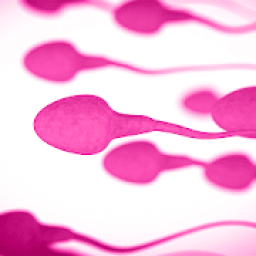 sperm race आइकन