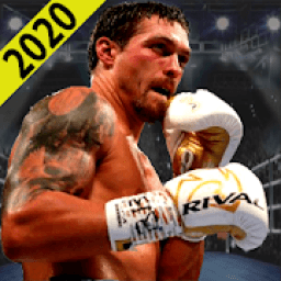 Real Punch Boxing Star: 3D Fighting आइकन